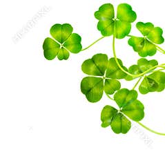 Lucky clovers