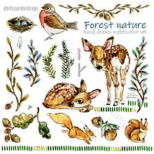 Forest nature and wild animals watercolor set