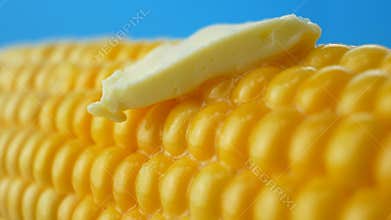 Tasty fresh piece of butter melting on ripe yellow fresh corn on cobs