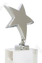 Star award isolated on the white