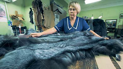 Female tailor brushing fur on a table, close up.