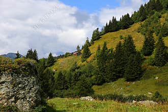 Chalet de l`are, alpine meadow on flank of Mont Blanc