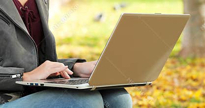 Woman hands browsing on a laptop in a park