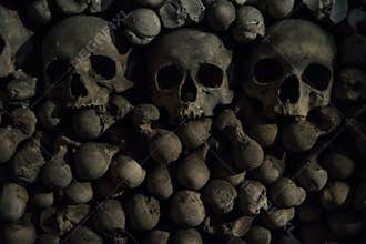 The tree Human skulls on the bones background are in the dark c