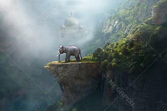 Indian Elephant, Taj Mahal, India, Fantasy Landscape