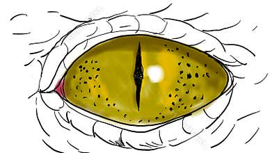 Crocodile Eyes Blinking Drawing 2D Animation