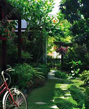Garden path