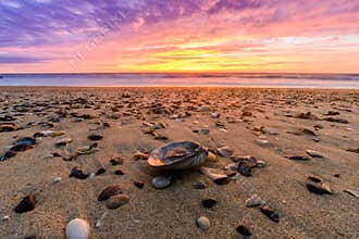 Seascape