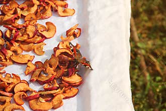 Butterfly and dried apples