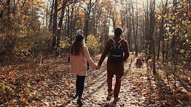 Pair of lovers is walking in autumn day in park, holding hands, back view