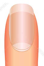 Nail design nail art