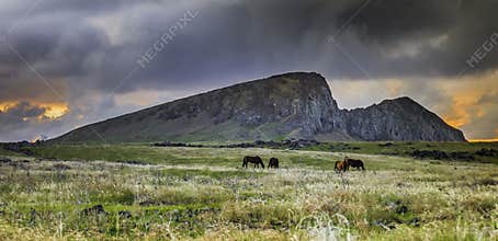 Horses Grazing Before Rano Raraku During Sunset