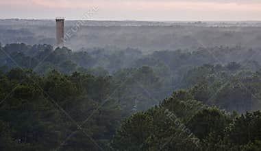 State Park Cape Henlopen