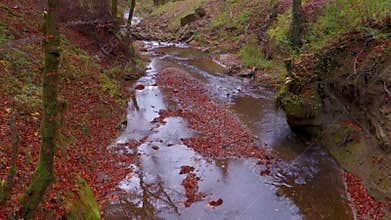The calm river flows in a beautiful autumn forest