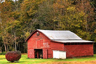 Red Barn Feed And Seed