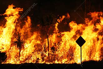 Bush fire