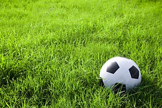 Football or soccer ball on the green field