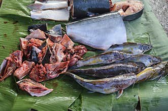 Fresh mekong river fish cuts being