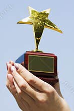 Award winner