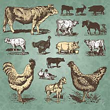 Farm animals vintage set (vector)