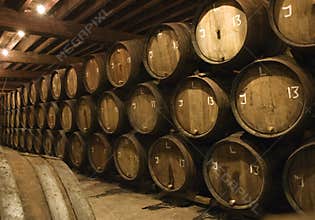 Barrels in brewery