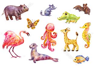 Funny animals, big watercolor set. Cute wild characters suitable for prints on children`s goods or for kids magazine