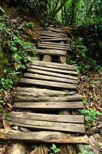 Nature trail
