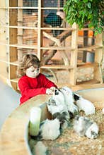 Adorable little girl feeding the cavy at the petting zoo