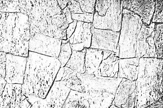 Distress old cracked concrete wall texture.