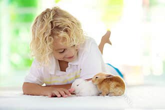 Child with rabbit. Easter bunny. Kids and pets