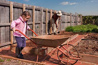 Girl helping grandfather in vegetable garden