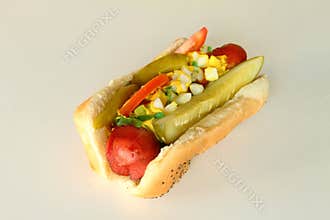 Chicago Hot Dog