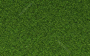 Grass Texture