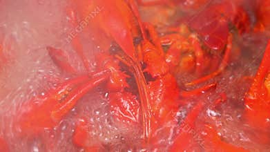 Cooked crayfish, close up
