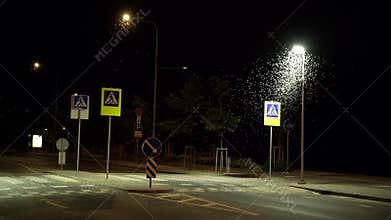 Ephemera hainanensis - mayfly or also known as fish flies, shad flies or up-winged flies. Mayflies swarming on the ground around s