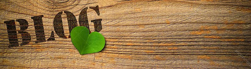Eco friendly blog - green