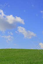 Grass and Sky