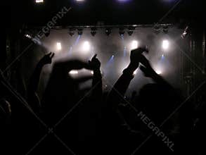 Everybody Put Your Hands Up (Concert)