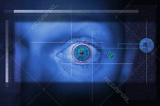 Iris scan security