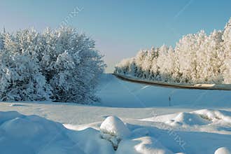Beautiful snowy landscape. Coniferous forest near winter road