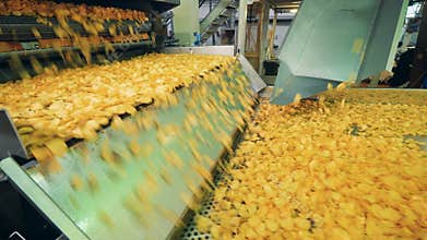 Factory conveyor moving potato crisps at a special facility.