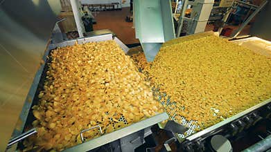 Modern factory conveyor moves fried potato chips in a food facility.