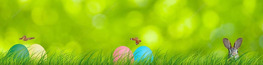 Easter rabbit and easter eggs hidden in a colorful natural scene