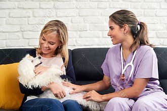 Veterinarian House Call With Doctor Dog Owner And Animal