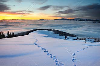 Cloudy sunrise in Winter Carpathian Mountains
