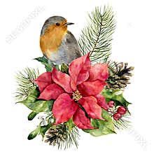Watercolor robin, poinsettia with Christmas floral decor. Hand painted bird and traditional flower and plants: holly