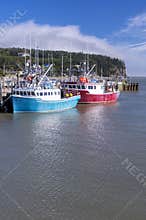 Bay of Fundy, New Brunswick, Canada