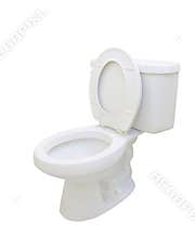 Toilet Bowl