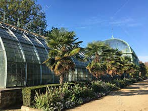 Jardin des Serres d`Auteuil botanical garden in Bois de Boulogne