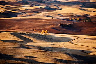 Rolling hill and Farm Land